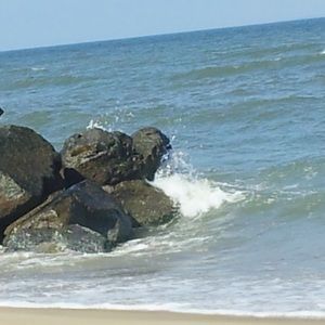 Meet your Posher, Janet